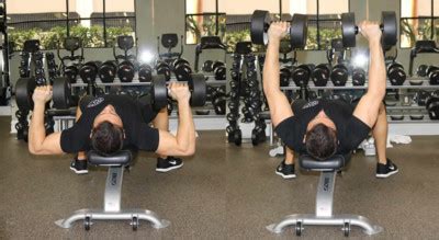 Flat Dumbbell Press - The Optimal You | Online Personal Trainers & Holistic Nutrition