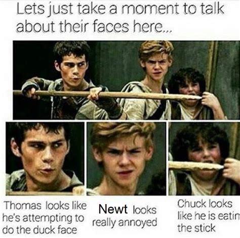 I laughed to much lol | Newt maze runner, Maze runner funny, Maze ...