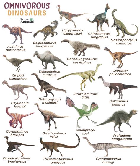 Omnivorous Dinosaurs – Facts, List, Pictures