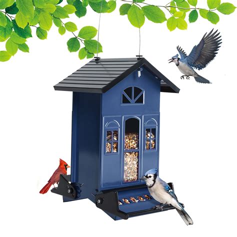 Birdkiss 5lbs Squirrel-Proof Wild Bird Feeder with Bilateral Weight ...