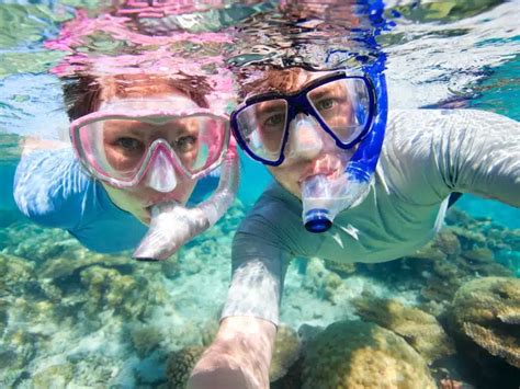 Cabo Snorkeling Tours: The Adventure Begins | Cabo Sailing