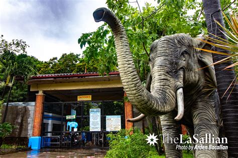 Animals in captivity: Manila Zoo understood – The LaSallian