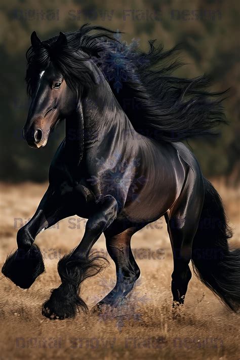 Black Stallion Digital Art Instant Download Kids Gift Idea Home Décor - Etsy