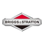 BRIGGS & STRATTON 650 SERIES OPERATOR'S MANUAL Pdf Download | ManualsLib