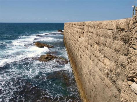 Seawalls Sarasota FL | Expert Seawall Construction And Repair Sarasota FL