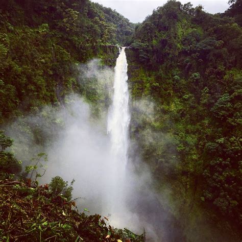 Hilo Waterfalls--Big Island