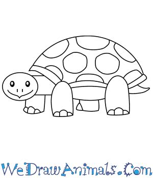 How to Draw a Simple Tortoise for Kids