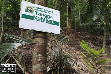 Gunung Ledang National Park | Malaysia