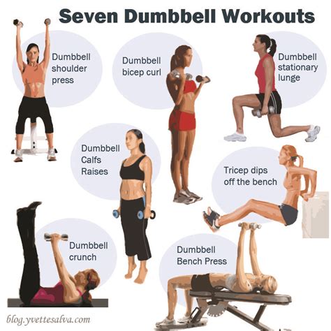 Belly Fat Burning Exercises With Dumbbells – Online degrees