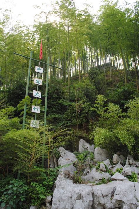 China's Anji Grand National Bamboo Forest