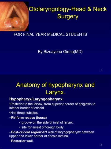 Laryngeal Diseases | PDF