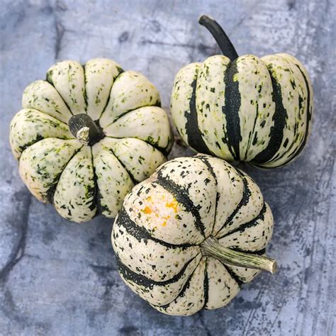 Sweet Dumpling Squash Seeds | Baker Creek Seeds