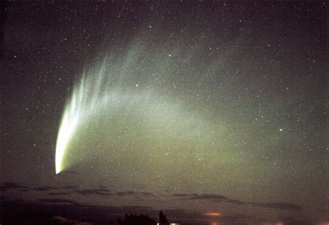 Tail of a comet | New Zealand Geographic