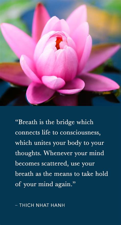 Thich Nhat Hanh On The Power of Breath - Mind Fuel Daily | Thich nhat hanh quotes, Yoga quotes ...