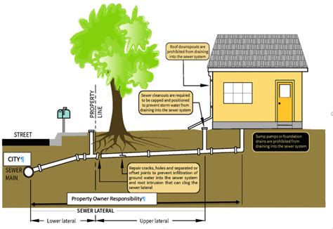 What is a Lateral Sewer Line? 6 Reasons to Have an Inspection! - Clear Path Property Inspections