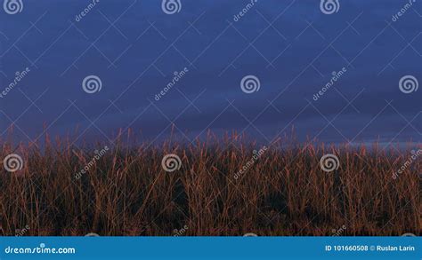 Grassy Hill at Sunset, Sky Background, Stock Illustration - Illustration of lush, concept: 101660508