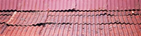 Corrugated Iron Roof Free Stock Photo - Public Domain Pictures