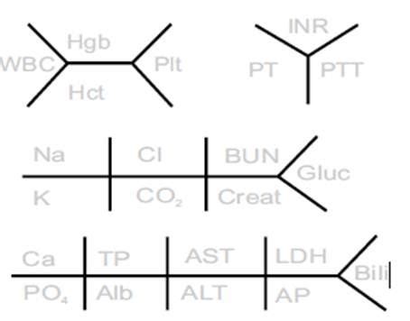 "Other" fishbone diagram options. Apparently there's some variation ...