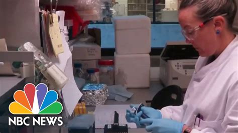 Watch Full Coronavirus Coverage - April 29 | NBC News Now (Live Stream) - YouTube