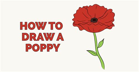 Learn to draw a poppy. This step-by-step tutorial makes it easy. Kids and beginners alike can ...