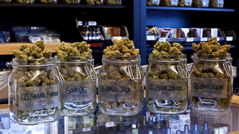 15 Best Marijuana Dispensaries Near Me - Florida - CalmEffect.com