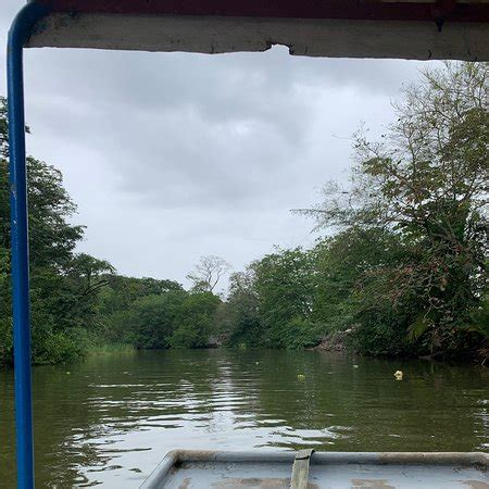 TORTUGUERO WILDLIFE TOUR (Puerto Limon) - All You Need to Know BEFORE You Go - Updated 2022 ...