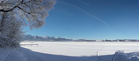 ~ Eisiger Forggensee ~ Foto & Bild | world, bäume, winter Bilder auf fotocommunity