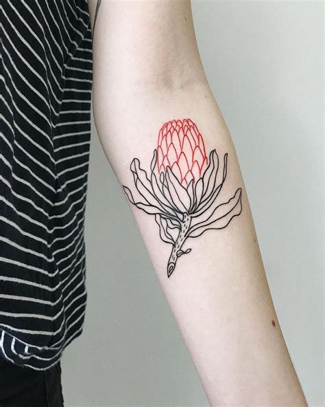 Martha on Instagram: “#tattoo#flowertattoo#protea#linework# ...