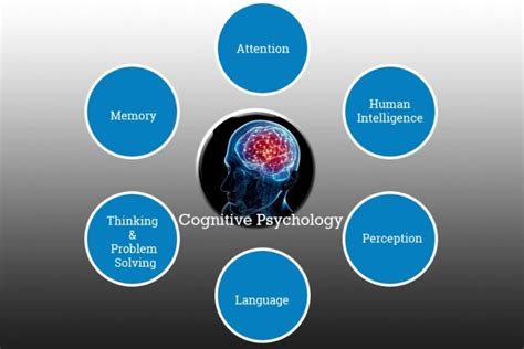 [Cognitive Psychology] | How We Process Information to Think - onlinemkt