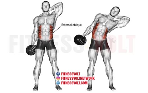 Sculpt Your Core: Master the Dumbbell Side Bend for Obliques – Fitness Volt