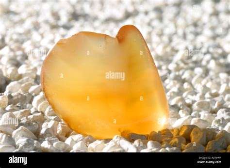 Amber jewelry hi-res stock photography and images - Alamy