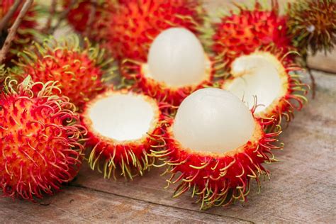 Rambutan | Local Tropical Fruit From Singapore, Southeast Asia