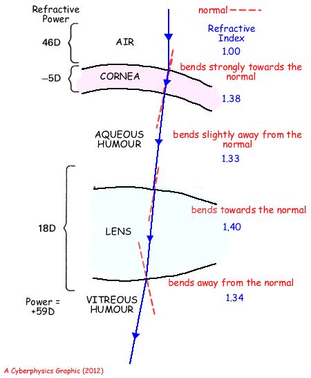 A Cyberphysics Page - the eye: refraction