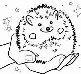 Hedgehog Coloring Pages  Best For Kids sketch template