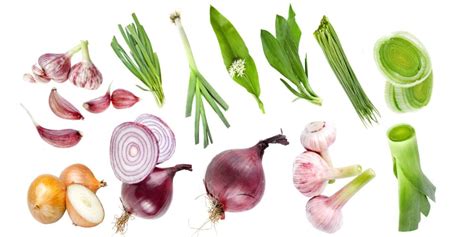 A List of Allium Vegetables and Their Nutritional Benefits - Nutrition Advance