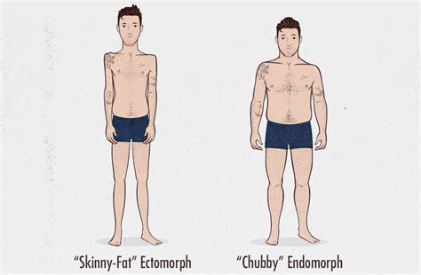 Body Type Question: Skinny-Fat Ectomorph or Chubby Endomorph? — Bony to ...