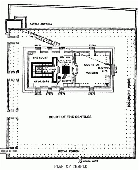 Solomon’s Temple | King solomon, Temples and Old testament