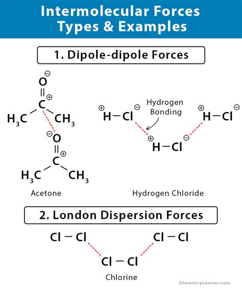 Intermolecular Forces: Definition, Types, and Examples