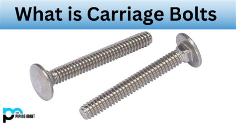 Guide To Carriage Bolts: Sizing, Installing, Removal, 54% OFF