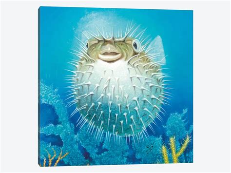 Puffer Fish Canvas Wall Art by Durwood Coffey | iCanvas