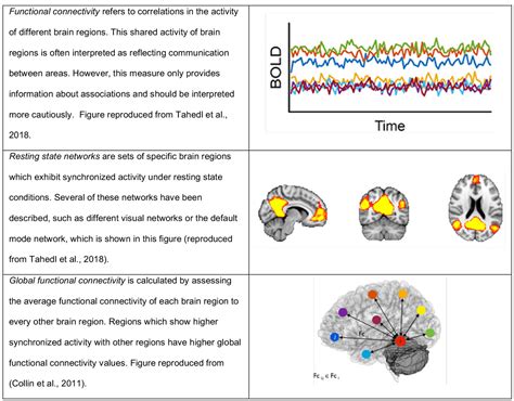 Acute effects of lysergic acid diethylamide (LSD) on resting brain function