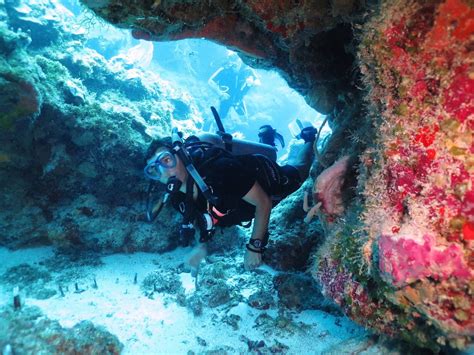 DIVE PARADISE (Cozumel) - All You Need to Know BEFORE You Go