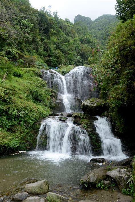 Rock Garden, Darjeeling stock image. Image of mist, darjeeling - 46830709