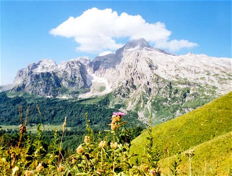 Adygea - Alchetron, The Free Social Encyclopedia