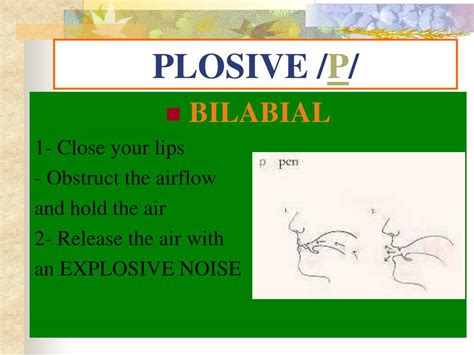 PPT - ENGLISH PLOSIVES / p / / t / / k / PowerPoint Presentation, free download - ID:6749301