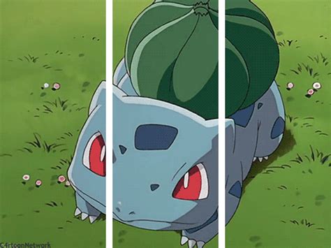 bulbasaur gif on Tumblr