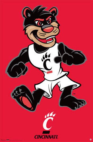 Cincinnati Bearcats Official Mascot Poster - Costacos Sports – Sports ...