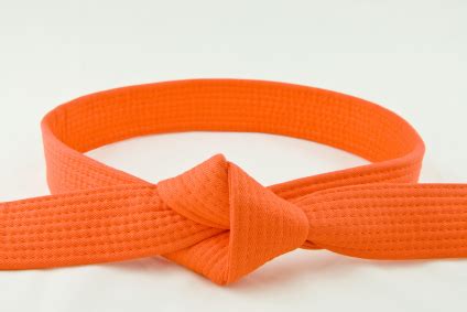 Best Of yellow belt to orange belt Everything you need to know about gkr karate: orange belt