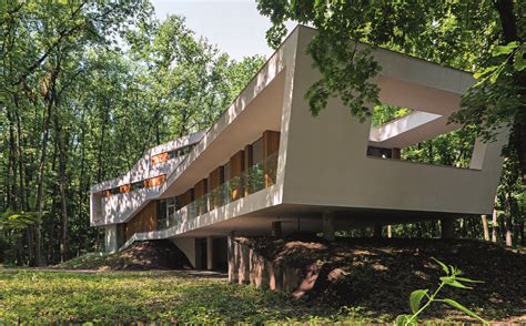 A House In A Forest / Igloo Architecture | ArchDaily