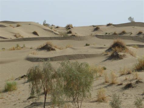 Turkmenistan: Camels in the Karakum Desert – Travel2Unlimited